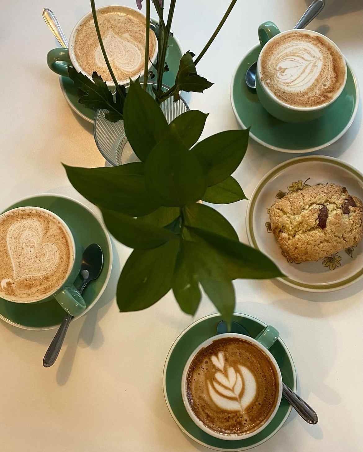 Tazas de café y galletas sobre una mesa al rededor de una planta. Del Instagram @mirlo.scl